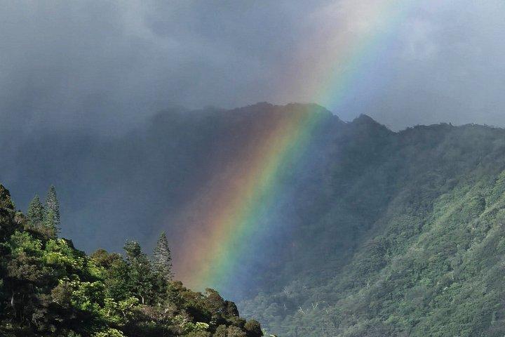 Private Oahu Custom Tour by Sprinter Van | Up to 10 Guests