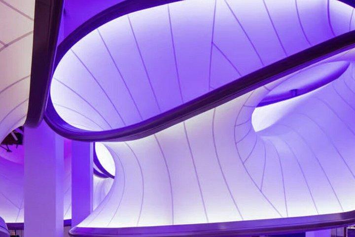 ロンドン科学博物館プロフェッショナルガイドツアー（チケット付き）