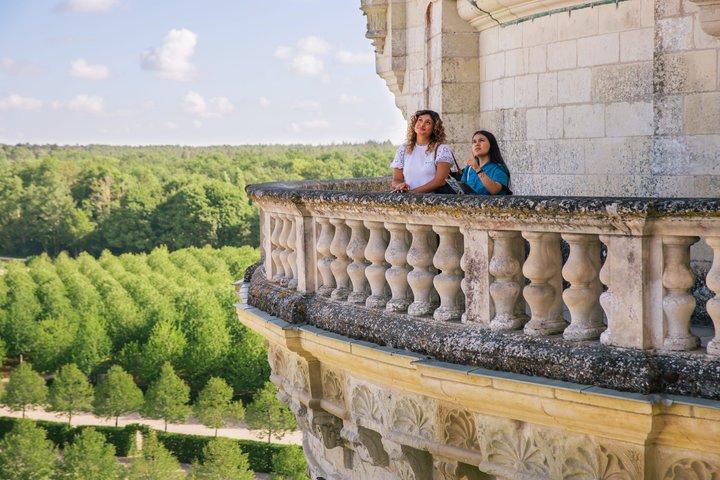 Gita di un giorno ai castelli della Valle della Loira con opzione audioguidata da Parigi