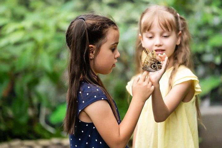 Antalya Butterfly World & Exotic Bird Park Entry Ticket