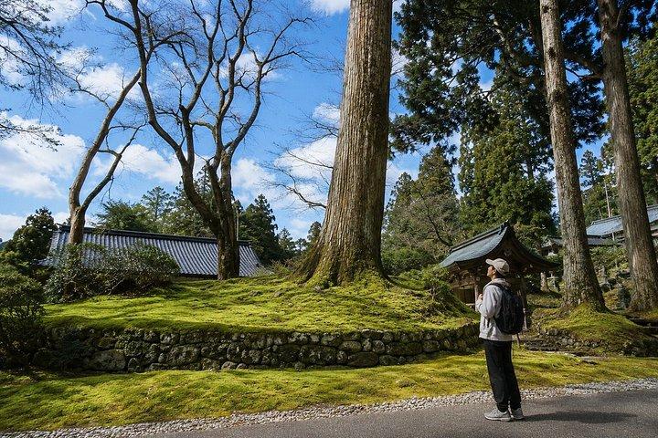 京都 10時間 プライベートカー 円楽寺＆琵琶湖