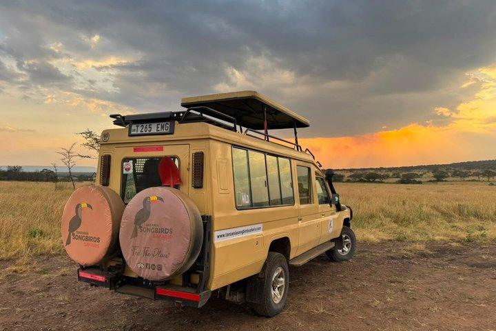 5 Day Private Tarangire Serengeti and Ngorongoro Safari