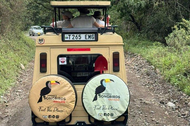 5 Day Private Tarangire Serengeti and Ngorongoro Safari