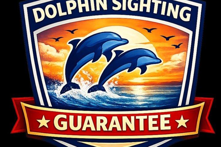 Fins Up - Dolphin & Island Sandbar Adventure in Clearwater Beach