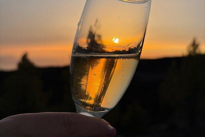 20インチ望遠鏡とテイデ夕日による星空観察