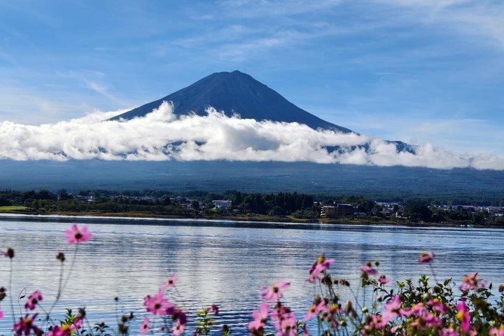 Mt Fuji & Hakone tilpasselig privat tur med Engelsk chauffør