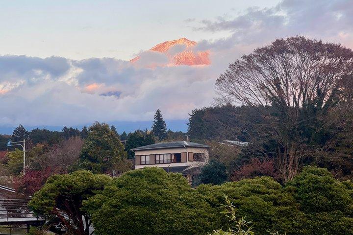 Mt Fuji & Hakone tilpasselig privat tur med Engelsk chauffør