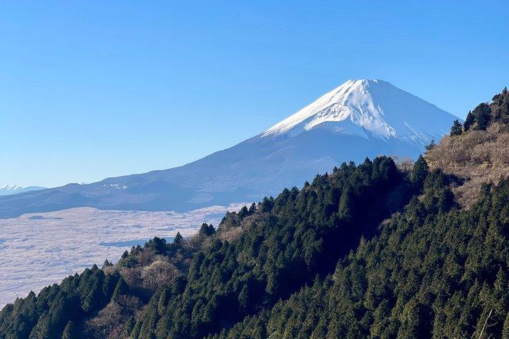 Mt Fuji & Hakone tilpasselig privat tur med Engelsk chauffør