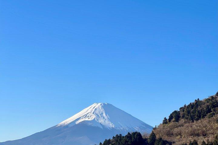 Mt Fuji & Hakone tilpasselig privat tur med Engelsk chauffør