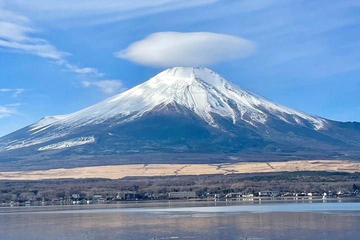 Mt Fuji & Hakone tilpasselig privat tur med Engelsk chauffør