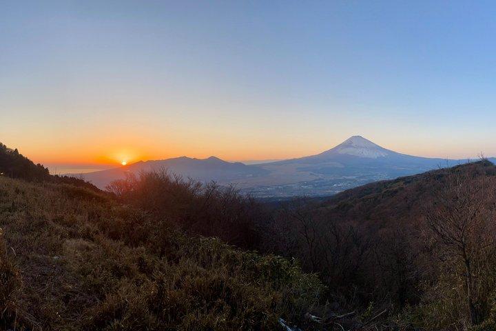 Mt Fuji & Hakone tilpasselig privat tur med Engelsk chauffør