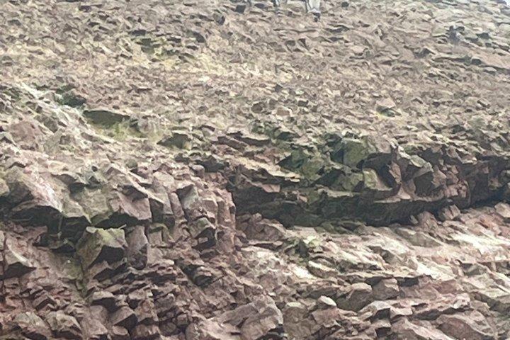 ナスカの地上絵を巡る3日間のペルー沿岸ツアー