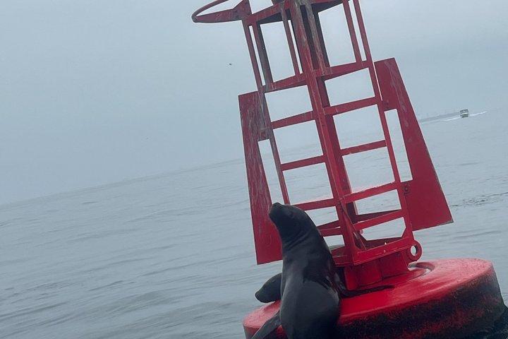 ナスカの地上絵を巡る3日間のペルー沿岸ツアー