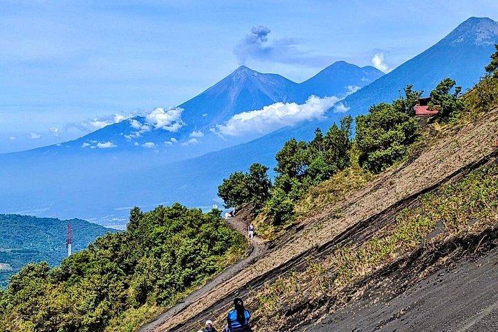 アンティグア発パカヤ火山日帰り旅行