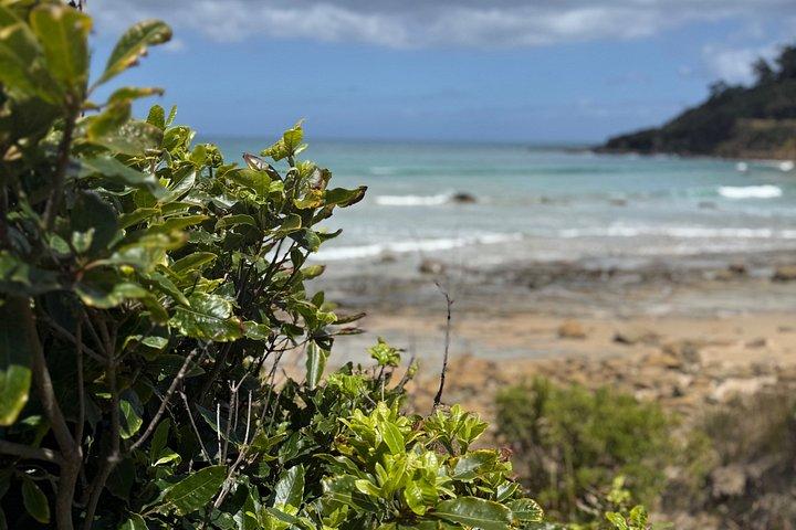 Great Ocean Road Experiences and Beyond