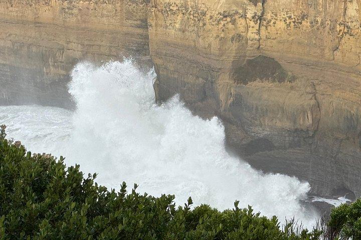 Great Ocean Road Experiences and Beyond