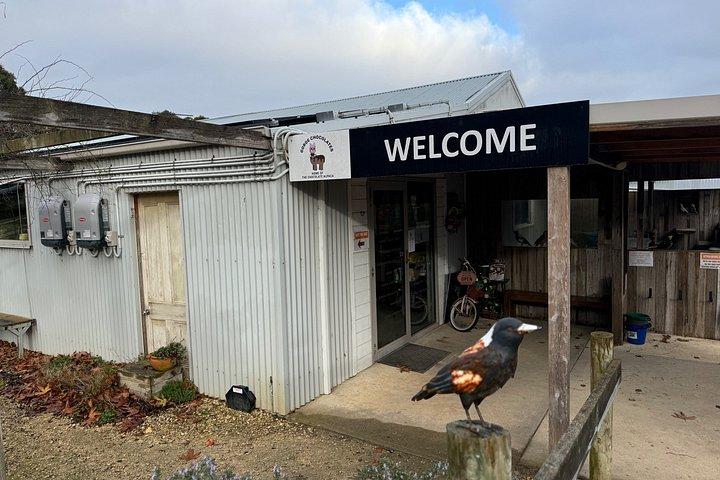Great Ocean Road Experiences and Beyond