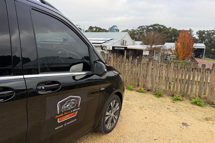 Great Ocean Road Experiences and Beyond