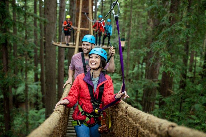 Redwoods Altitude Alta Corda & Ziplines + Glowworms, Rotorua