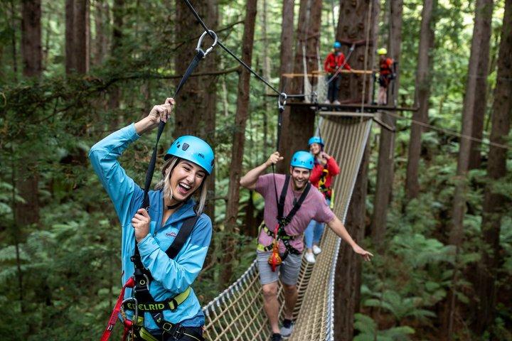 Redwoods Altitude Alta Corda & Ziplines + Glowworms, Rotorua