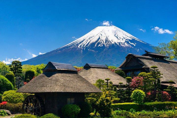 Excursión de un día al Monte Fuji, la Pagoda Chureito y el Lago Kawaguchiko desde Tokio