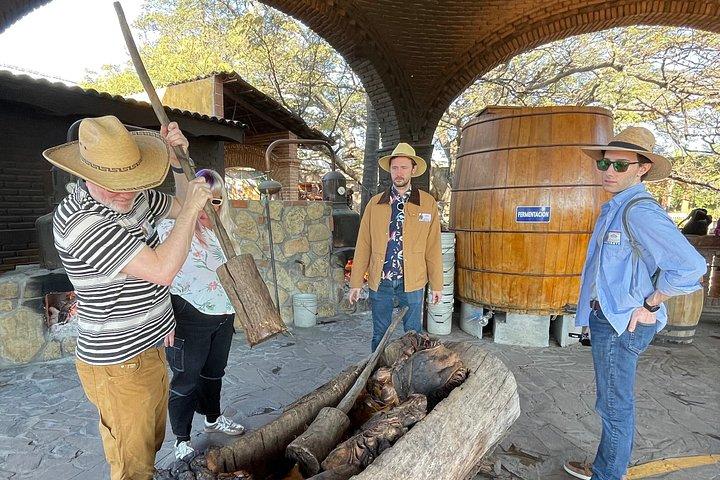 Tequila: Private Half-Day Tour