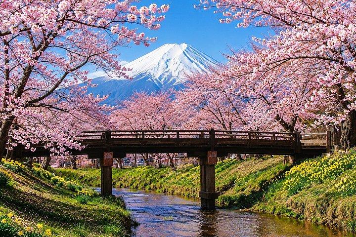 東京から富士山、新倉山、大石公園、河口湖