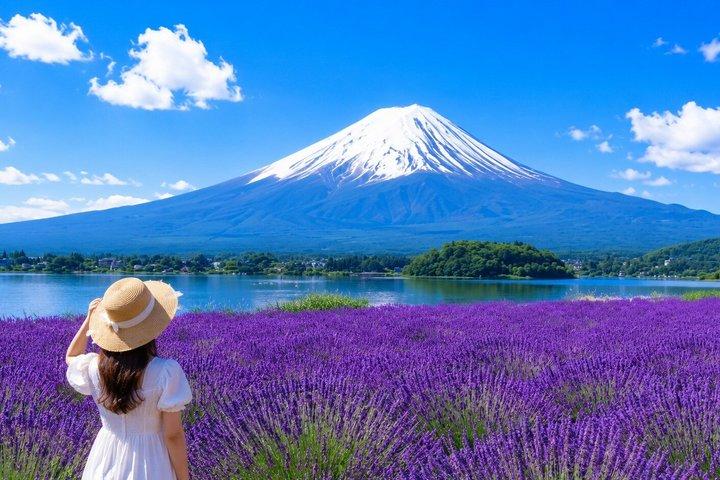 Mt.Fuji, Arakurayama, Oishi Park och Kawaguchikosjön från Tokyo