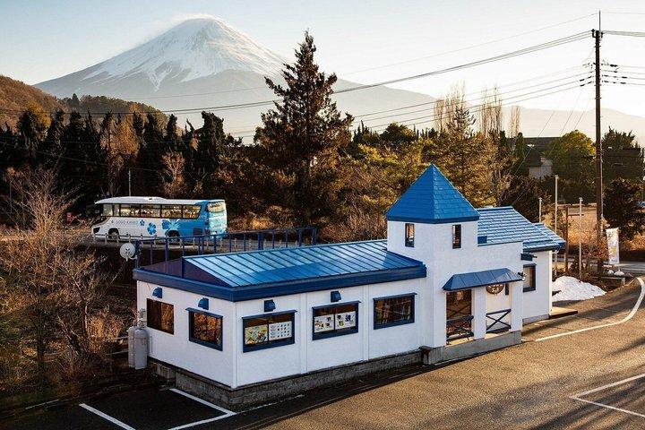 東京から富士山、新倉山、大石公園、河口湖