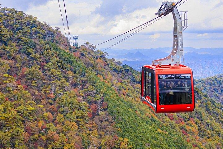 神戸を探索：紅葉、クルーズ、ロープウェイ、夜景