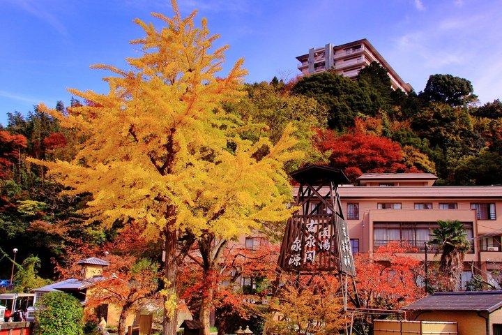 神戸を探索：紅葉、クルーズ、ロープウェイ、夜景