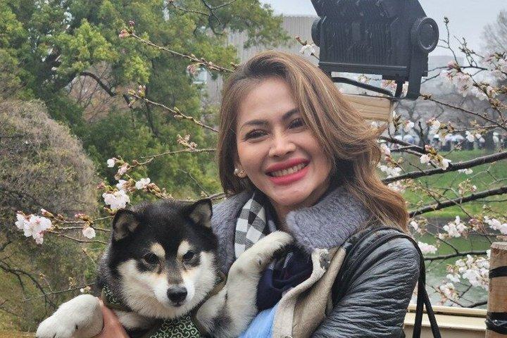 Tokyo Private Cherry Blossom Tour with a Shiba Inu & Shrine Walk