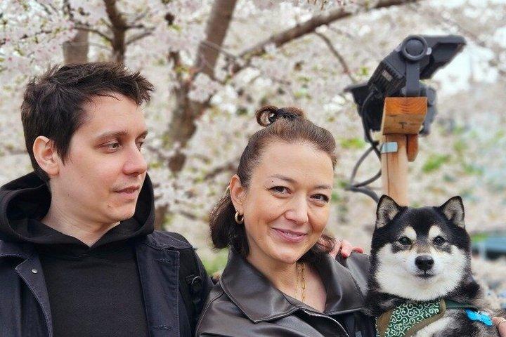 Tokyo Private Cherry Blossom Tour with a Shiba Inu & Shrine Walk