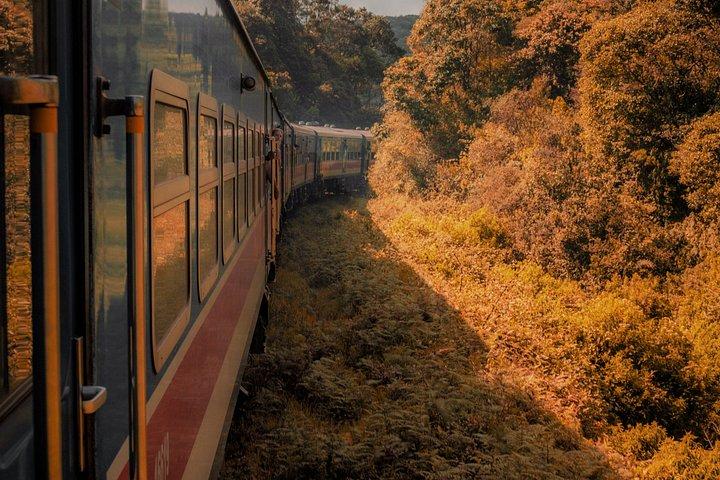 エラ＆ナヌオヤ絶景列車チケット – 指定席