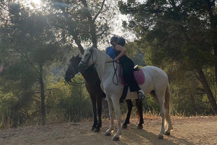 マラガ自然公園を通る乗馬ルート