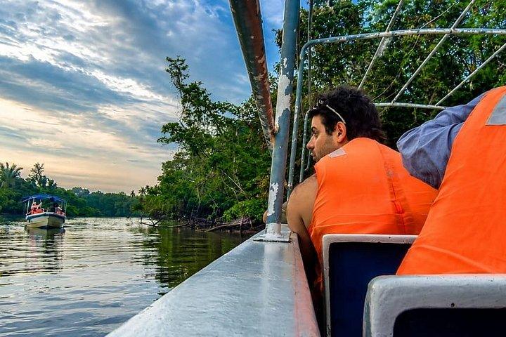Borneo (Klias) River Cruise & Fireflies Tour