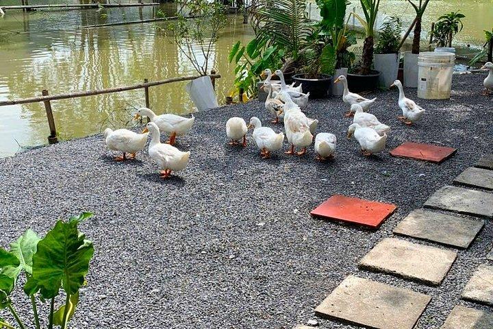 ハノイ: ニンビンの素晴らしい美しさのバイク日帰り旅行を探索