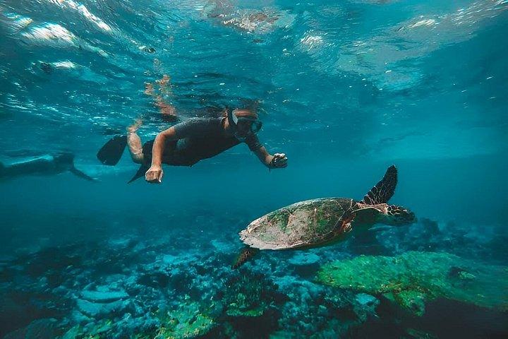 Musandam Dibba Tour From Dubai