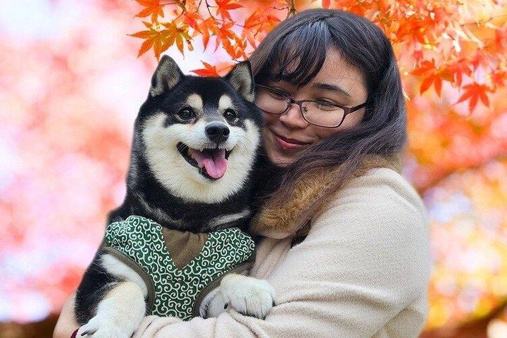 Tokyo Shiba Inu helgedomspromenad | Upptäck Tokyos dolda sida