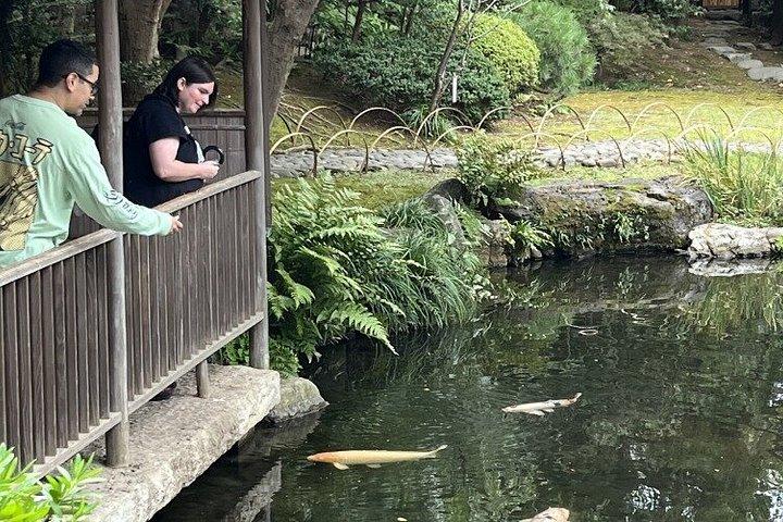 東京柴犬神社散策｜東京の隠れた一面を発見