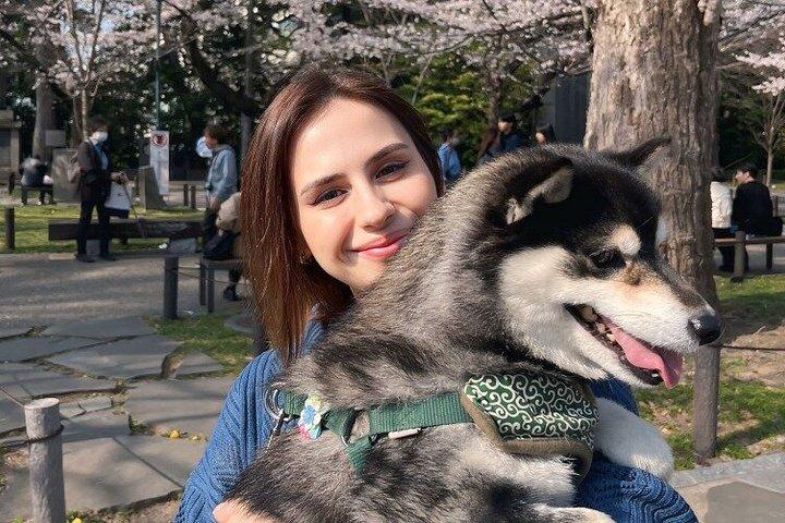 東京柴犬神社散策｜東京の隠れた一面を発見