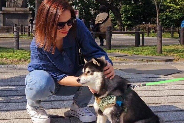東京柴犬神社散策｜東京の隠れた一面を発見