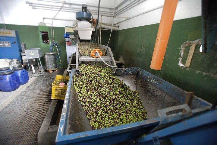Villa Castelli Walking Tour with Olive Oil Tasting
