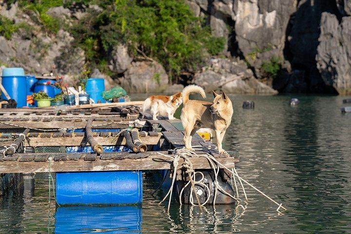 3 - 白頭龍湾の手つかずの美しさへのデイレネアクルーズ