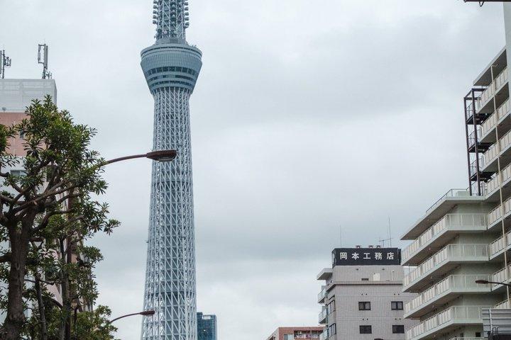 日本ゴーカート公式東京スカイツリー/秋葉原（要国内避難民）