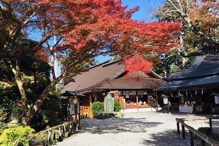 大阪・京都から吉野山春の桜プライベートツアー