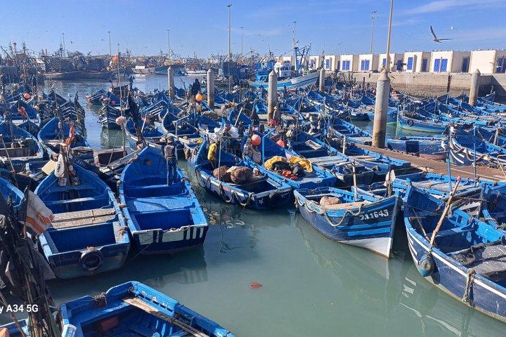 Excursión privada de un día a Essaouira desde Agadir