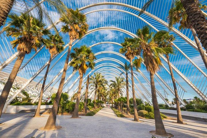 Barcelona to Valencia Private Transfer with 2h Sightseeing Stop