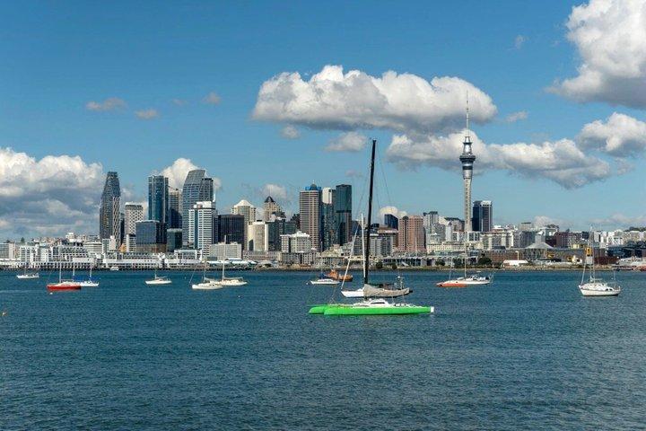 Panorama-Wein und Käse Auckland Hafenrundfahrt