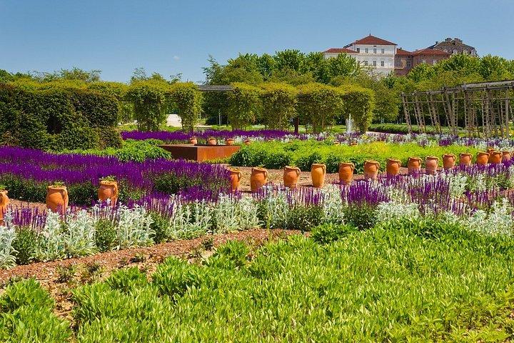 De Turin: visite privée coupe-file du palais de Venaria